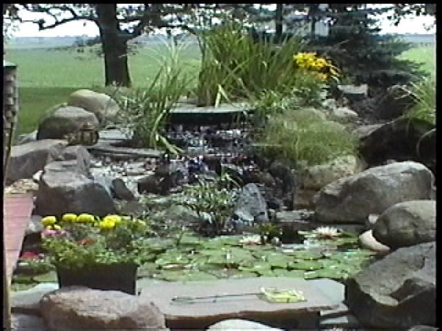 KOI POND IN FRONT WINDOW